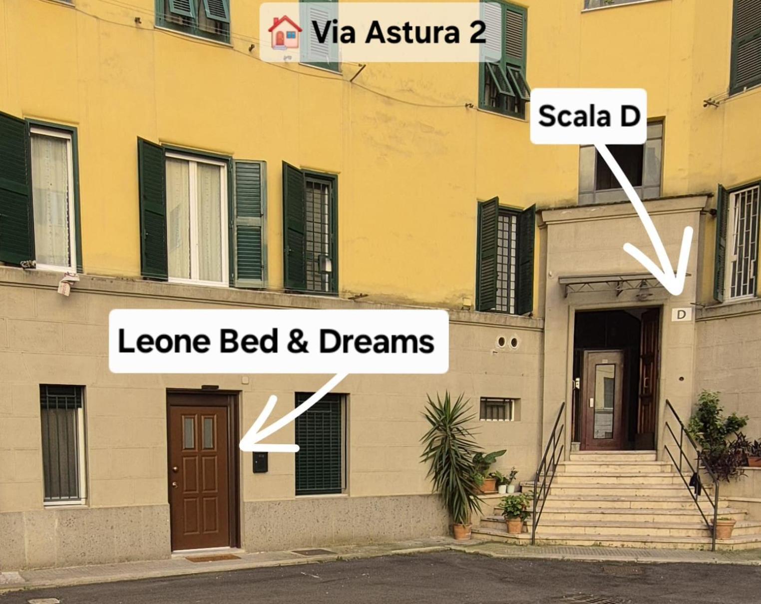 Leone Bed & Dreams Apartment